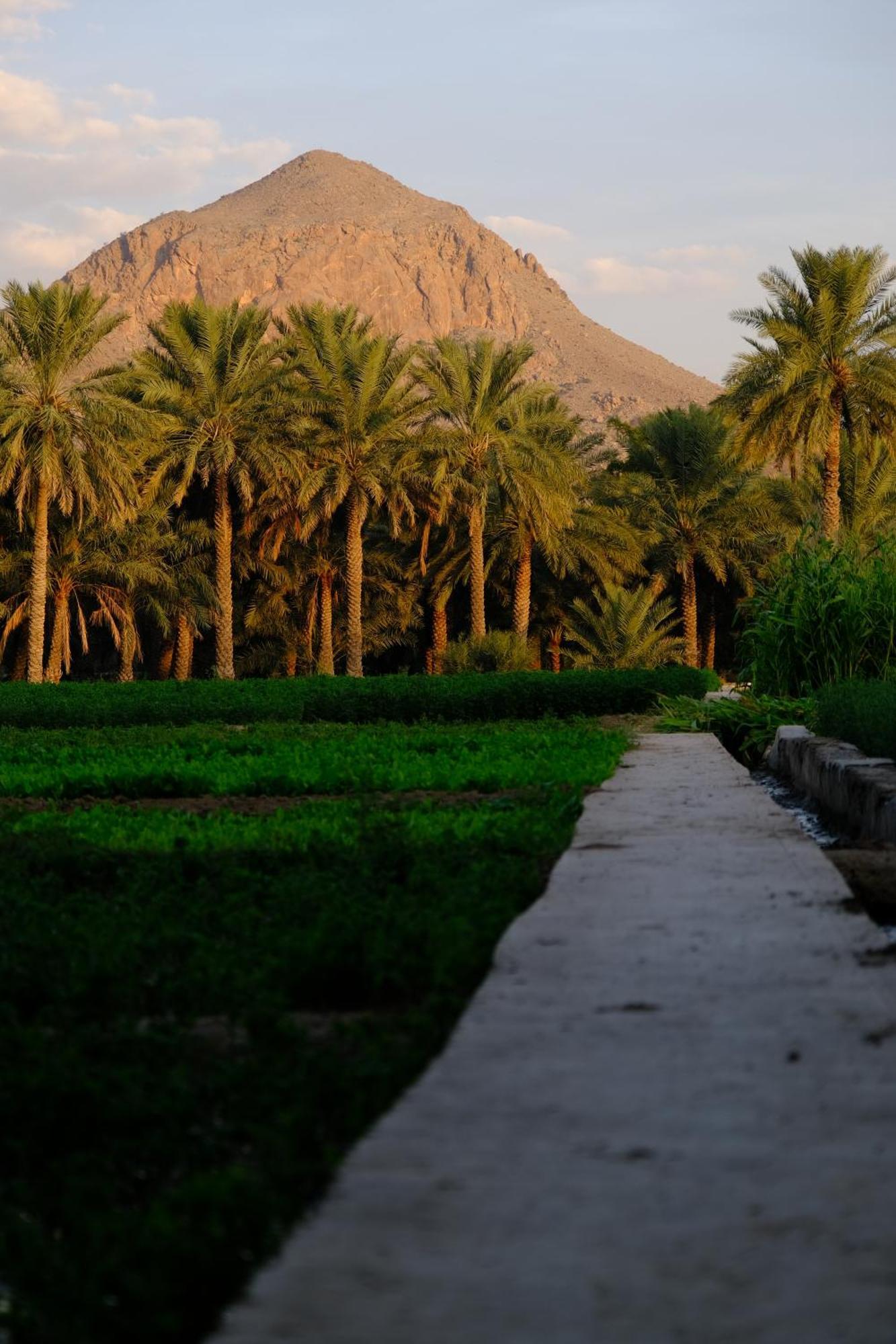Nature House Al Ḩamrāʼ