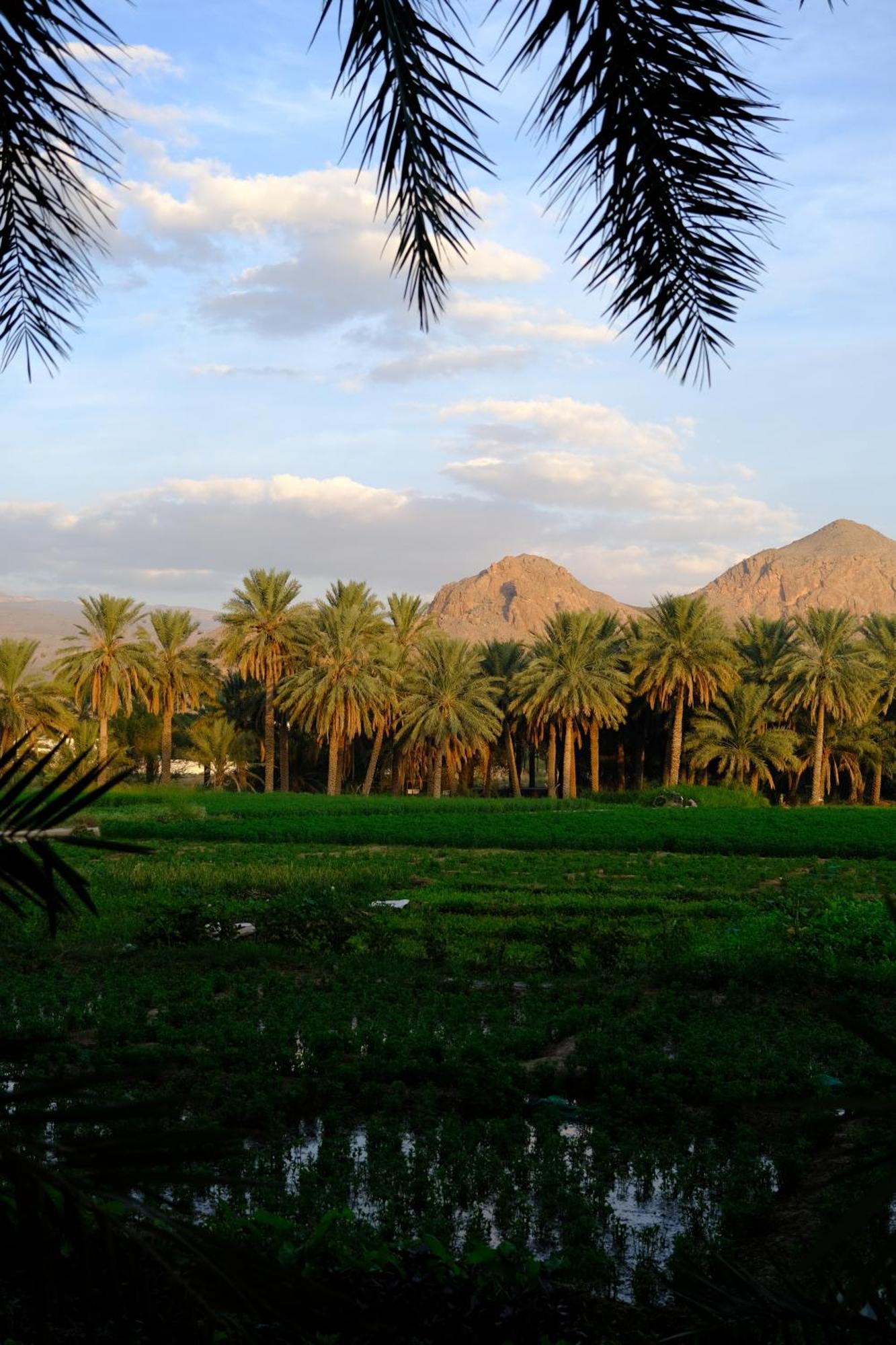 Nature House * Al Ḩamrāʼ