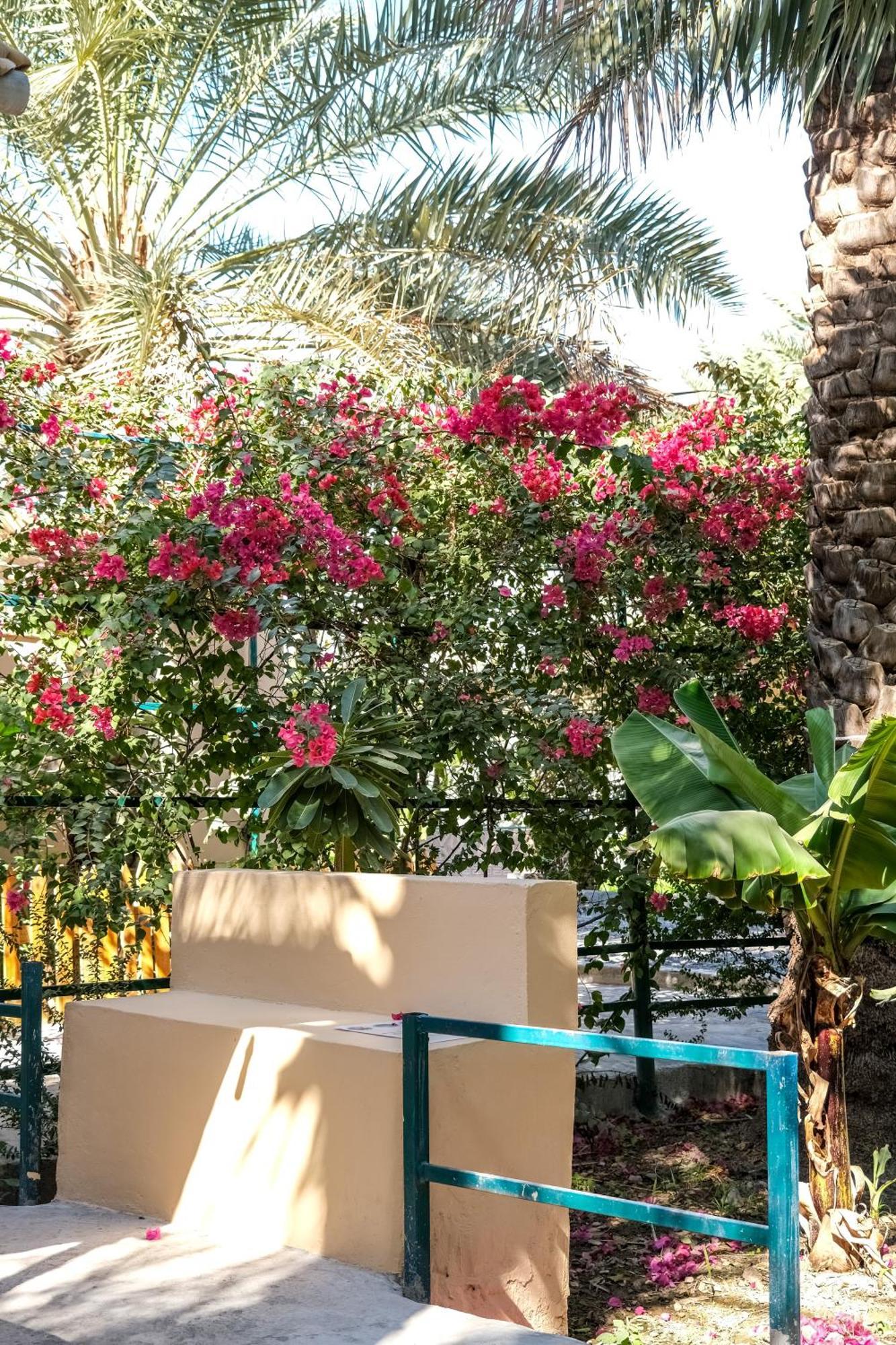 Nature House Al Ḩamrāʼ